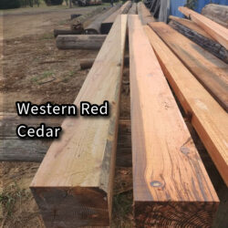 Western Red Cedar