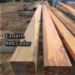 Aromatic Eastern Red Cedar | $4.00 Per Board Foot